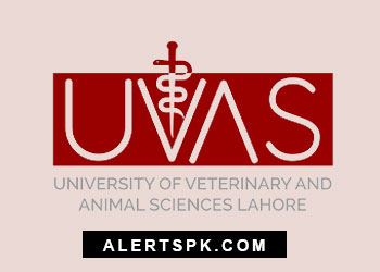 UVAS Result and Merit list available on this page.