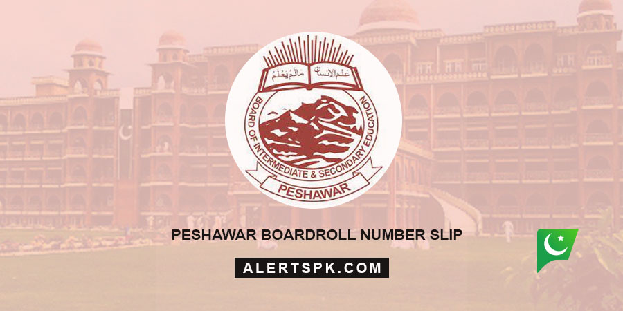 Peshawar Board Roll Number Slip
