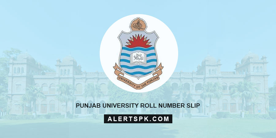 Punjab University Roll Number Slip