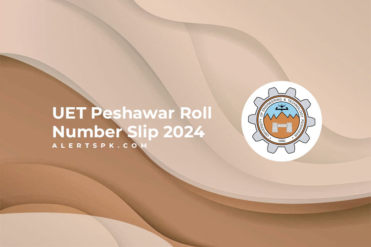 UET Peshawar Roll Number Slip 2024
