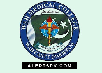 wahmedicalcollege.edu.pk