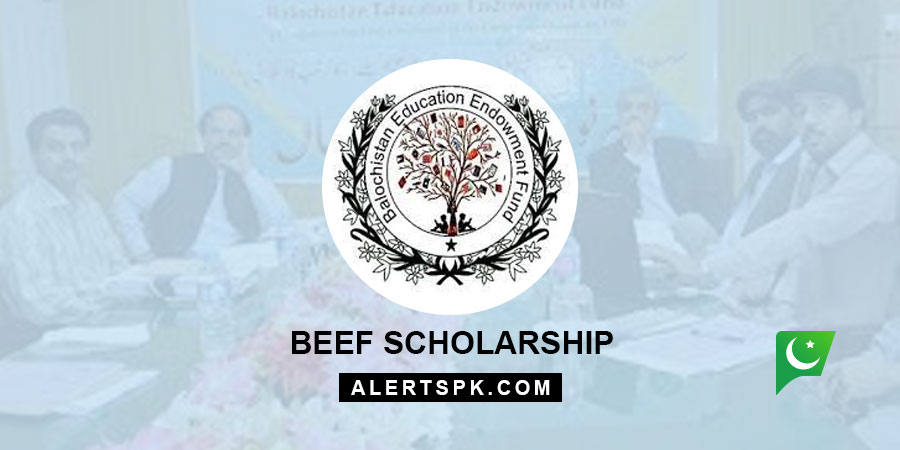 beef scholarship