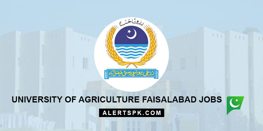 university of agriculture faisalabad jobs