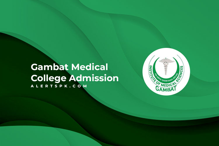 Gambat Medical College Admission 2024